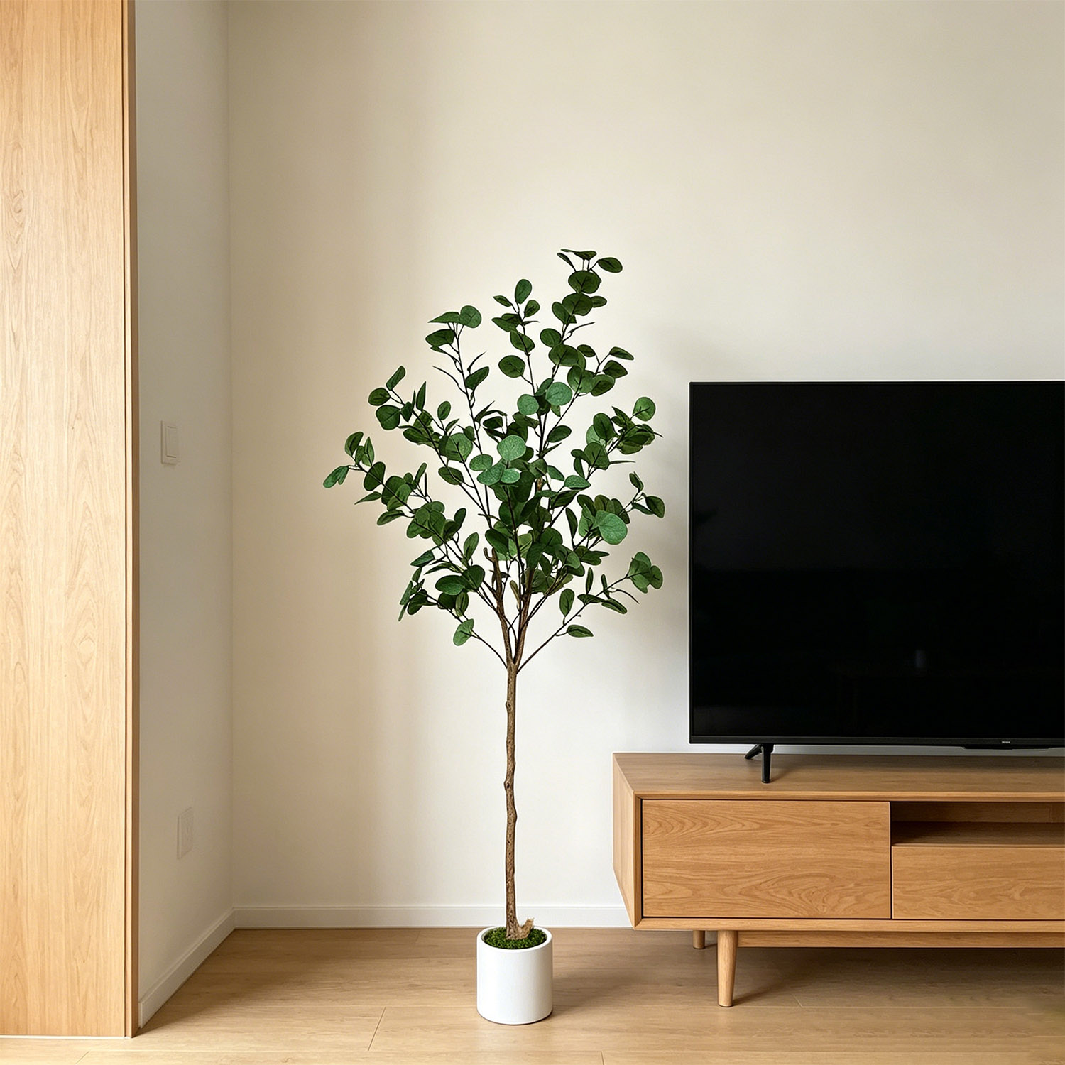 120-155Cm/5.1Ft Artificial Euc - Dracaena Marginata review and price