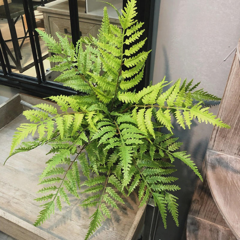 1pcs Artificial Plants Bedroom - Dracaena Marginata review and price